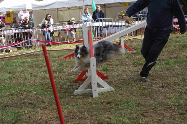foire-haricots 2011-09-17et18